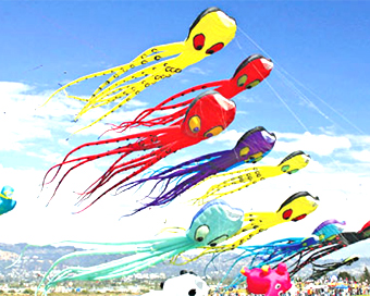 kite-festival__820714705